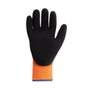 Predator Baltic Gloves (Pack of 1)